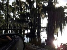 the sun shines through some trees in front of a body of water that is covered with spanish moss