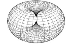 an abstract sphere is shown with lines in the shape of a bird's head