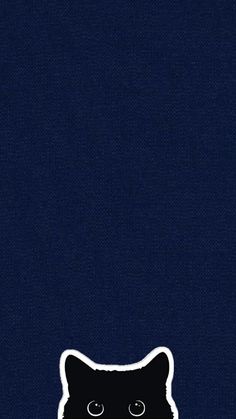 an image of a black cat on a blue background