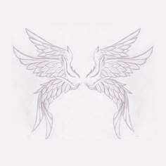 two white birds with wings spread out in the shape of a heart on a white background