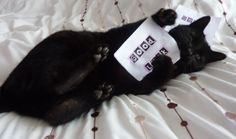 a black cat laying on top of a bed with a paper bag on its head