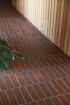 a green plant sitting on top of a red tile floor next to a wooden wall