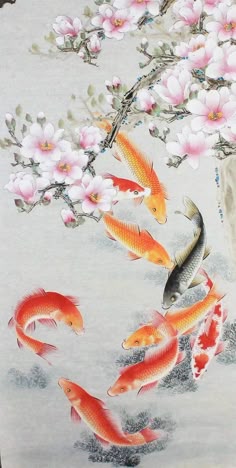 Koi Fish Painting Chinese, Koi Fish Cherry Blossom, Koi Fish And Cherry Blossom, Floral Painting With Koi Fish, Koi Fish With Cherry Blossom, Koi Fish Under Cherry Blossoms, Koi Fish With Sakura Flowers, Koi Fish And Cherry Blossom Painting, Japanese Koi Painting Style