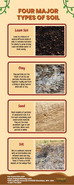 Types Of Soil - Sandy Soil, Clay Soil, Silt Soil, And Loamy Soil