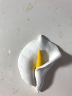 a white and yellow flower on a table