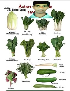 Types Of Asian Greens, Asian Vegetables List, Learn Asian Vegetable Names, Asian Vegetable Names, Chinese Vegetables List, Chinese Vegetable Names Chart, Asian Vegetable Names Chart, Korean Vegetable Names, Chinese Vegetables Names And Pictures