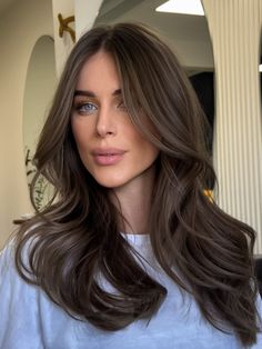 Neutral Brown Color Hair, Chocolate Ash Hair Color, Neutral Cool Hair Colors, Ash Brow Hair, Hair Undertones, Hair Gloss Brown Hair, Brown Hair Dye Inspiration, Hair Color Cool Brown, Dark Ash Hair Color Brown
