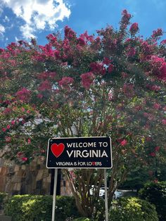 a welcome sign to virginia for visitors in front of a tree with pink flowers on it