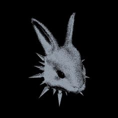a black and white photo of a rabbit's head