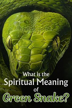 a green snake with the words, what is the spiritual meaning of green snakes?