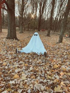 a blue cloth ghost in the middle of leaves on the ground with trees behind it