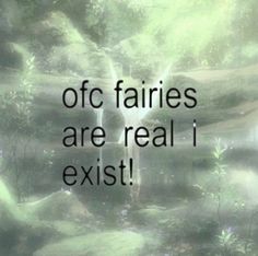 an image with the words ofc fairies are real i existt