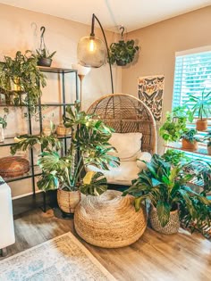 Plants, decor, boho, interior decorating, indoor plants, egg chair