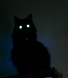 a black cat with glowing green eyes sitting on top of a table in the dark