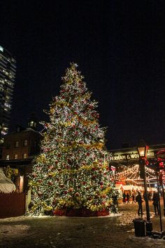 a large christmas tree is lit up at night