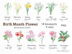 the birth month flowers are shown in watercolor