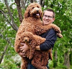 a man holding a large brown dog in his arms
