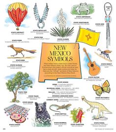 the new mexico symbols and their meanings