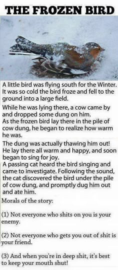 the poem is written in front of an image of a bird on snow covered ground