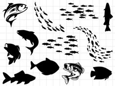 various fish silhouettes on a white background