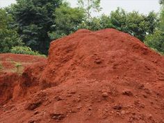 a pile of red dirt next to some trees