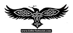 a black and white drawing of a bird with celtic designs on it's wings
