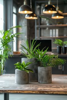 three cement planters sitting on top of a wooden table next to potted plants