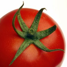 a close up of a tomato on a white background royalty images and clippings