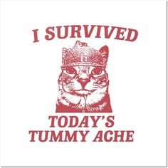 i survived today's tummy ache t - shirt in red and white