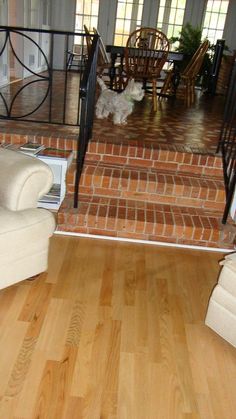 there is a dog sitting on the stairs in this living room with wood flooring