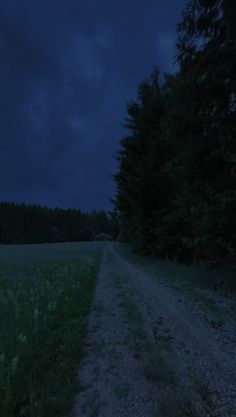 a dirt road in the middle of a grassy field at night with trees on both sides