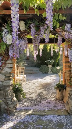 an outdoor garden with purple flowers hanging from the pergolated roof and stone walkway
