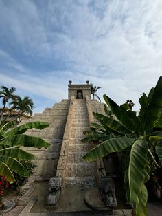 #jungle #mexico #paradise Mexican Temple, Mexico Cities, Latin America Culture, Mexico Lifestyle, Mexico Tropical, Mexico Vibes Aesthetic, Mexico Aesthetic Vacation, Mexico Vision Board, Mexico Travel Aesthetic