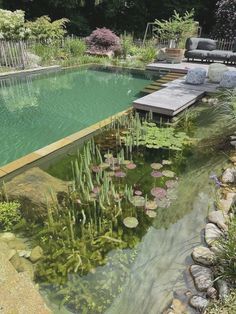 an outdoor pool with water lilies in it