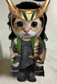 a cat dressed up as loki the avengers with horns on its head and ears, standing next to a white carpet