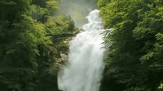 a waterfall surrounded by lush green trees