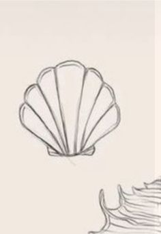 two seashells are shown in this drawing