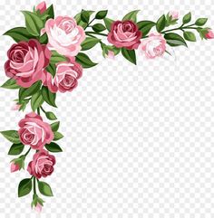pink roses and green leaves on a white background, hd png downloads for free