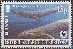 a postage stamp with two whales and the words british atlantic territory on it's side