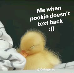 a small yellow duckling sitting on top of a bed next to a blanket