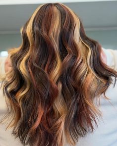 Image of copper, white and black hair.