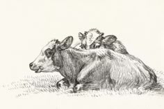 a drawing of two cows laying down in the grass