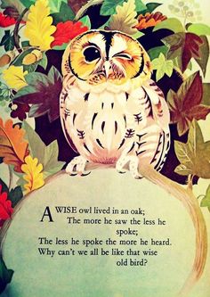 an owl sitting on top of a rock surrounded by leaves and flowers with the words wise lived in oak