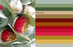 a red flower with yellow stamens and green leaves in the foreground is a color palette