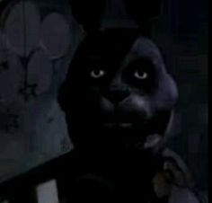 a black cat is standing in the dark with its head turned to the side and it's eyes wide open