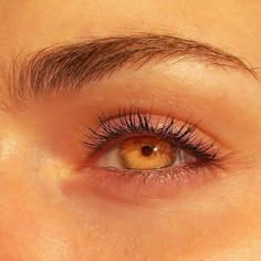 Brown Eyes Aesthetic, Blue Eyes Aesthetic, Eye Meaning, Beautiful Eyes Color, Amber Eyes, Golden Eyes, Eye Photography, Poses References, Gold Eyes