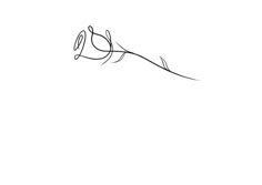 a black and white drawing of a bird flying in the air with its wings spread