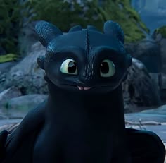 toothless toothless toothless toothless toothless toothless toothless toothless toothless toothless toothless toothless toothless toothless toothless toothless toothless tooth