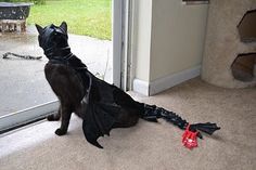 a black cat wearing a bat costume standing in front of a door