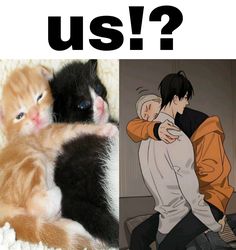 19 days, he tian, mo guan shan, tianshan, jian yi, zhan zheng xi